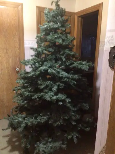 BEAUTIFUL CHRISTMAS TREE, View more