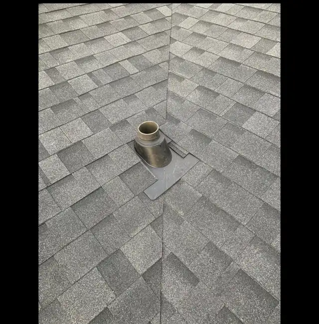 Professional Roofing Services479098259983585284
