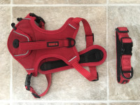 Red Dog Collar and Harness Size Small