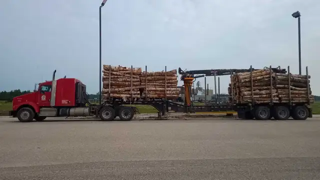 Truckload Firewood Delivery Across Saskatchewan  in Plants, Fertilizer & Soil in Regina - Image 4