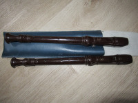 Yamaha recorder set of 2 with case
