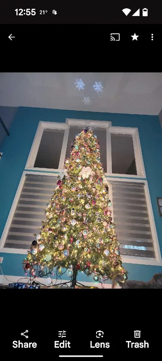 Aspen Christmas Tree62863272795267121
