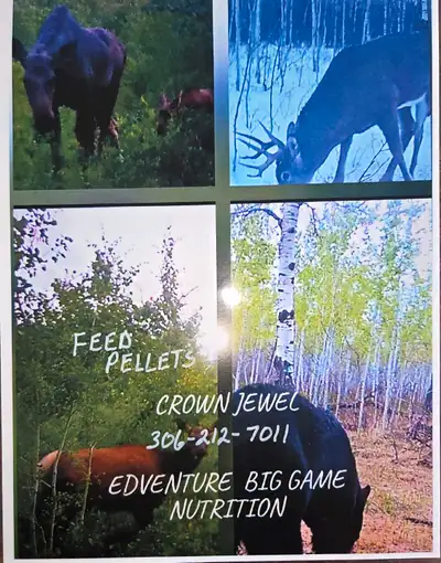 Edventure big game nutrition, View more