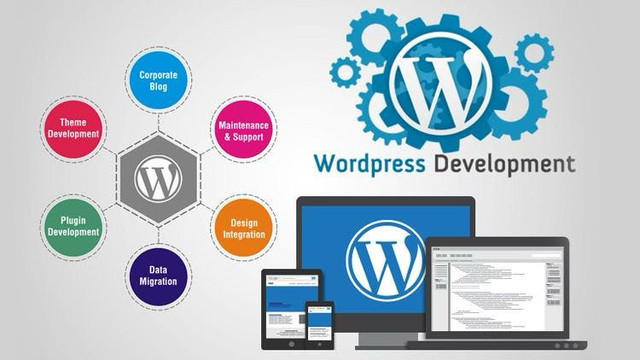 Professional WordPress Website - Affordable Cost in Graphic & Web Design in City of Toronto