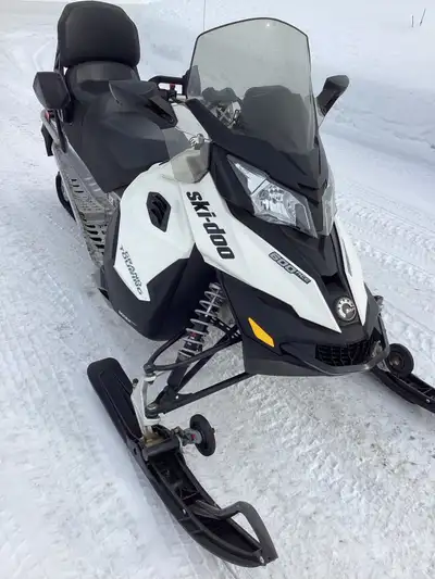 Bombardier 600 ACE 2016, qui est en très bon état. * Moteur: 600 ACE * Année: 2016 28000km Je demand...