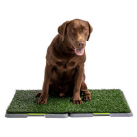 chien ou chat plateau avec herbe artificielle pour pipi et caca
