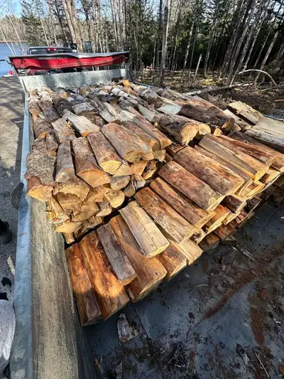 1.4 Cord dry mixed (hardwood & softwood) firewood, loaded and ready to be delivered this weekend! $3...