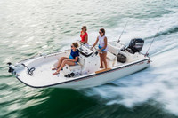 Wanted - Boston Whaler