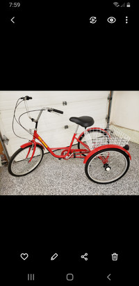 Adult Trike 6 speed: almost new