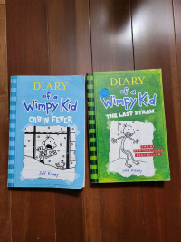 Diary of a wimpy kid - 2 books in a good condition 