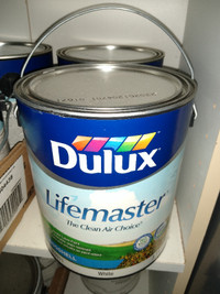 Dulux Eggshell premium paint