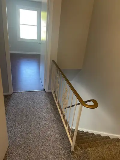 3bd 2bath Looking for a vibrant,responsible and clean female to complete a home of 3.