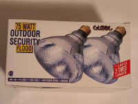 NEW Outdoor flood lights 75W (Globe)