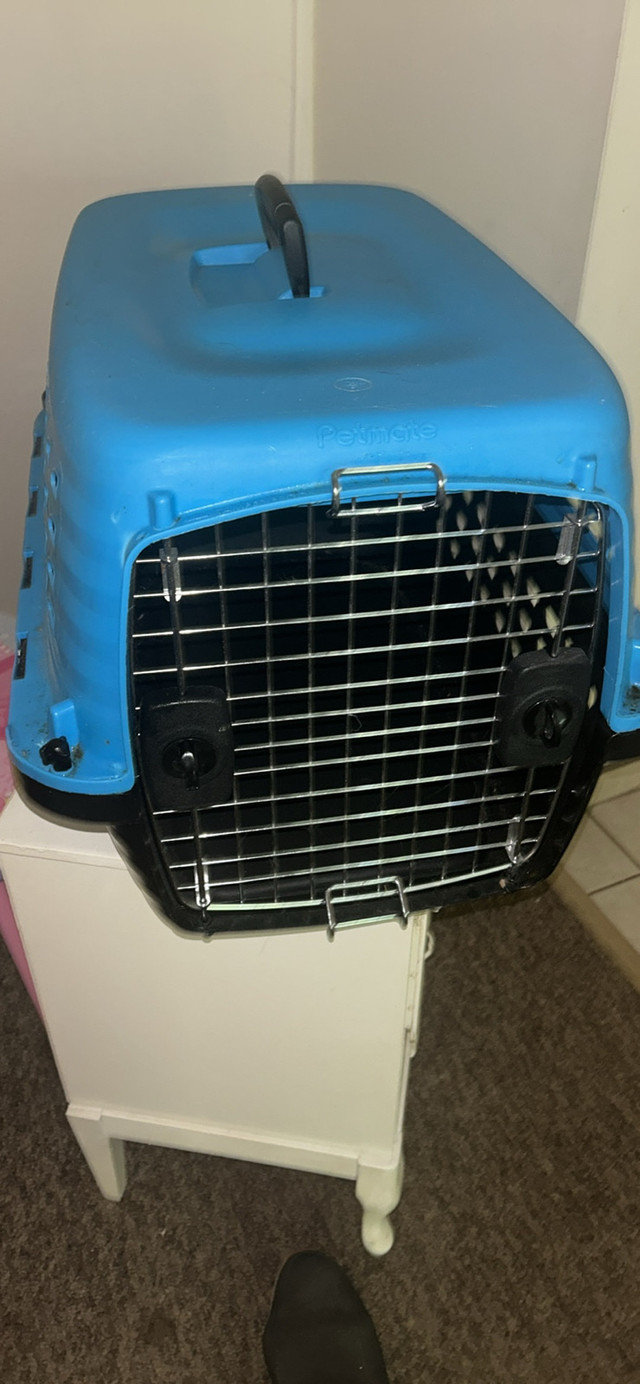 brand new pet carrier in Animal & Pet Services in Chatham-Kent