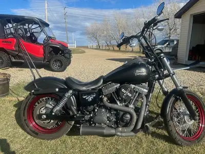 matte black, cherry red rim, 2-1 danmoto exhaust, stage 1, Lucky dave's 10" t-bars, sissy bar, LED s...