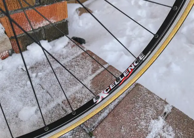 Pinarello Treviso - Campagnolo Chorus 11 - Neo-Retro in Road in Barrie - Image 6