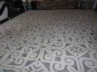 Almost new area rug