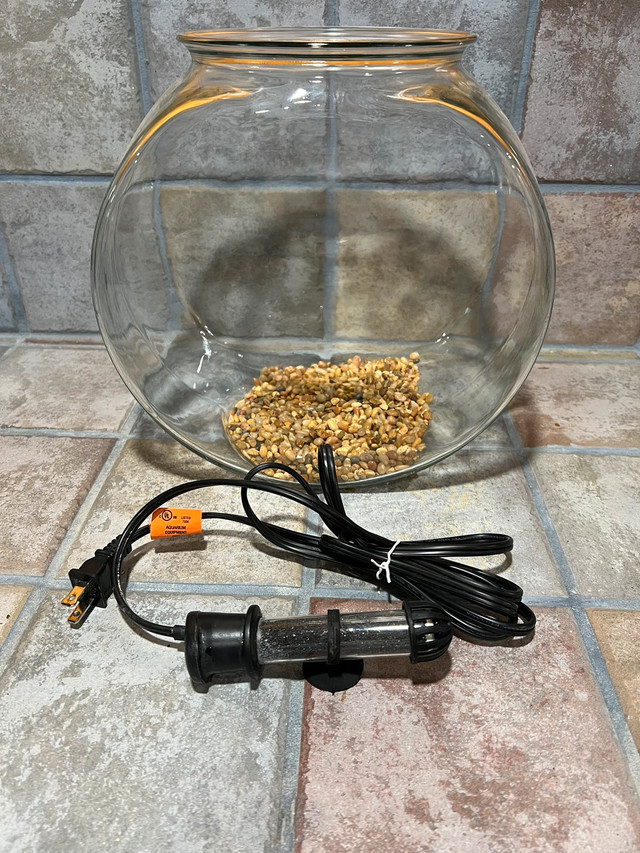 2 gallon glass fish bowl for sale in Fish for Rehoming in Oshawa / Durham Region