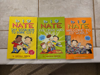 Big Nate Books