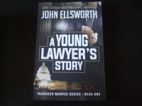 A Young Lawyer's Story by John Ellsworth