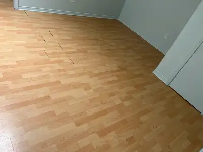 Roo for rent