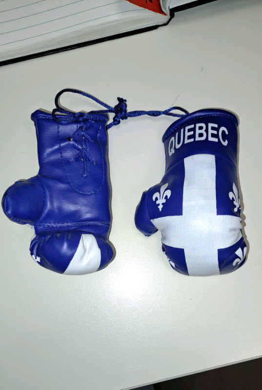 NEW - mini Quebec Boxing Gloves in Other in Oakville / Halton Region - Image 2