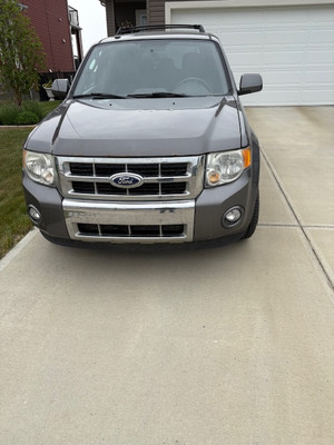 2011 Ford Escape Limited