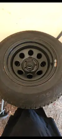 Studded tires