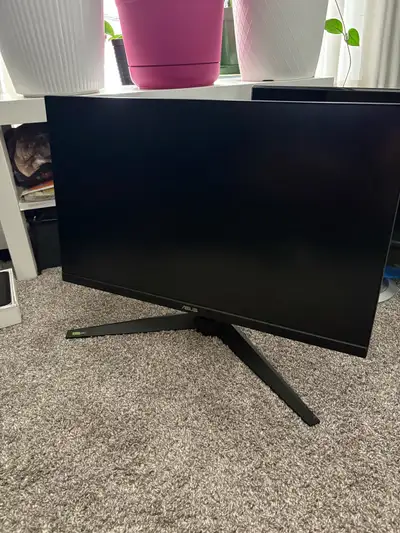 Asus Gaming monitor 250 OBO, View more
