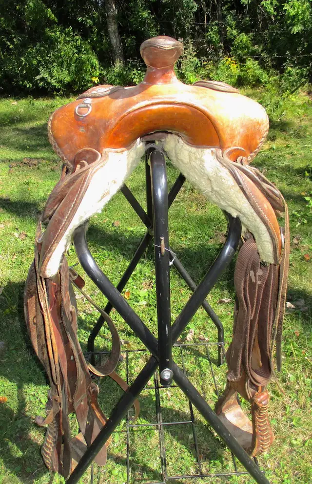 15" Bona Allen saddle, made in USA in Equestrian & Livestock Accessories in Dawson Creek - Image 4