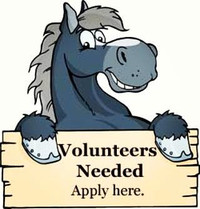 Volunteer with Horses May 3, 4 or 5