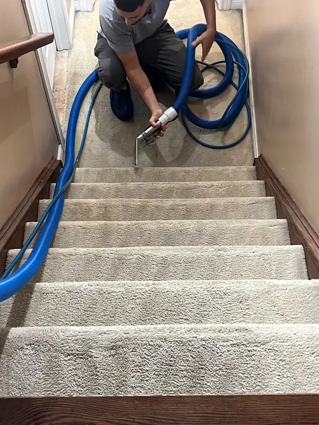 Carpet and couches and mattresses cleaning 63793687254913121