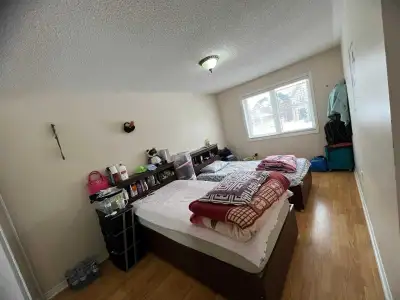 Furnished Room for rent near Sheridan College share with another girl in $450 each. kitchen ,Dining...