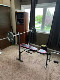 Incline Bench + Weights
