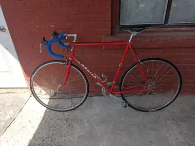 Vintage Aquila Road Bike – Shimano 600 Arabesque, View more