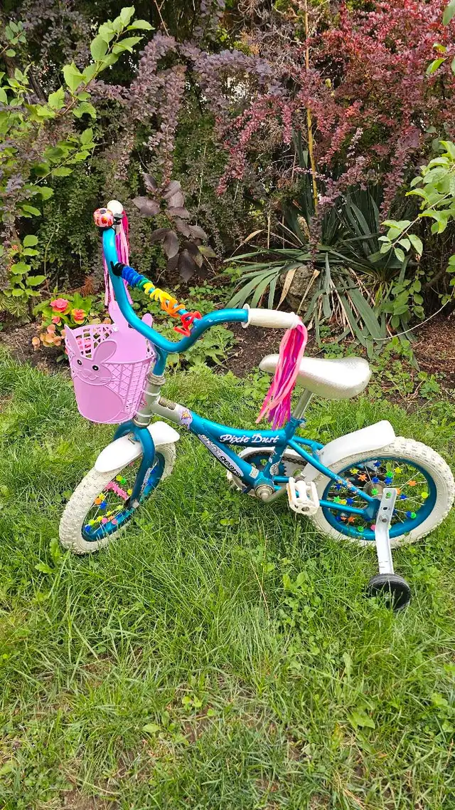 Shimmer and Shine Bike63654759247745120
