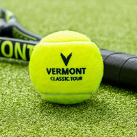 Tennis Lessons for Beginner Level Players - $350 per hour