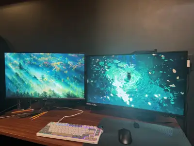 Dual Monitor Setup, View more