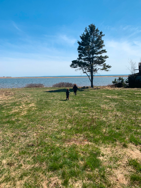 Private Waterfront Building Lot 15 Min. from Wood Islands Ferry Land