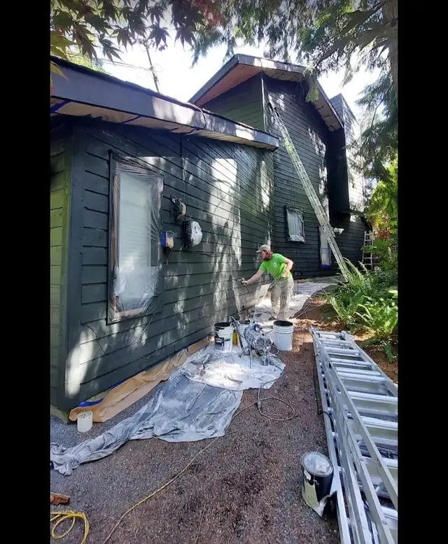 Painter, Painting, Paint, Renovation, Painters ✅ 647360352162863722531459121