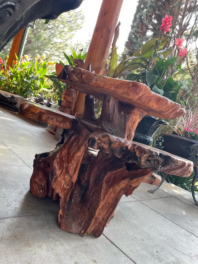 Unique Teak Root Display Stand in Outdoor Décor in Kamloops - Image 5