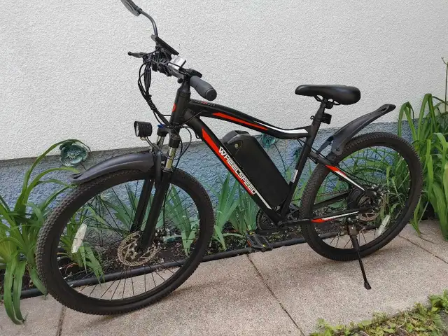 Wheelspeed Aries E-bike 27.5"628543903424031215