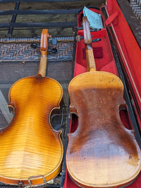 Old violins 