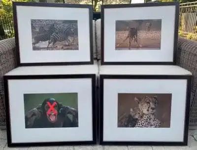 On Safari Photographic Art Prints $35 Each ~ 3 available, View more