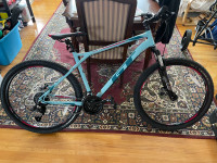 Brand New : GT Laguna 27.5”