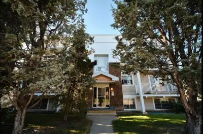 1 bedroom 1 bath apartment