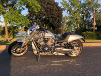 Harley Davidson VROD spécial 10ème anniversaire toute chrome
