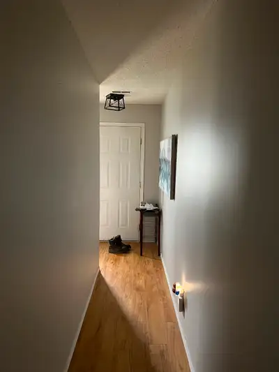1 bedroom furnished, everything included. $1000/month