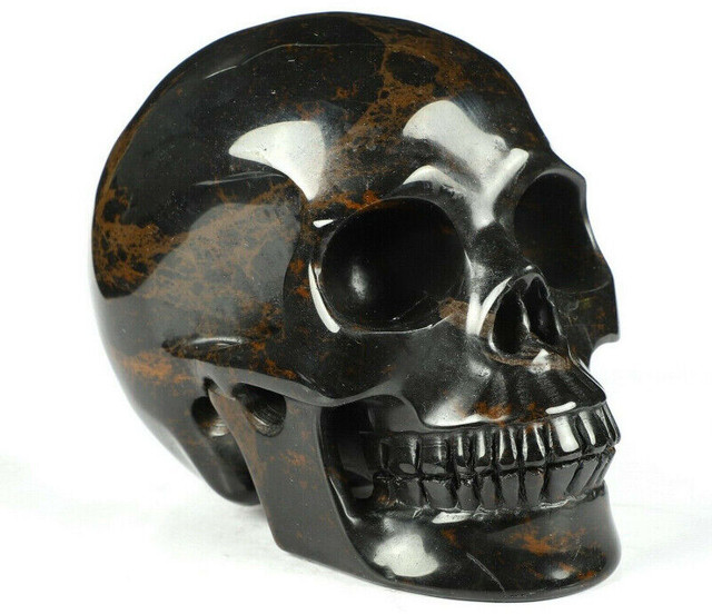 HUGE 5" Mahogany Obsidian Crystal Skull! Hand carved, realistic. in Arts & Collectibles in Mississauga / Peel Region