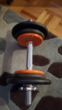 Dumbell with 17lb weights